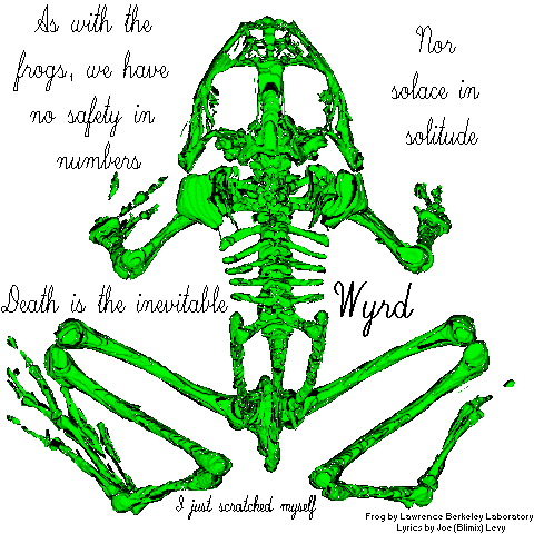 As with the
frogs, there is no safety in numbers, nor solace in solitude.  Death is the
inevitable wyrd.  I just scratched myself.  Frog by Lawrence Berkely
Laboratory.  Lyrics by Joe (Blimix) Levy.